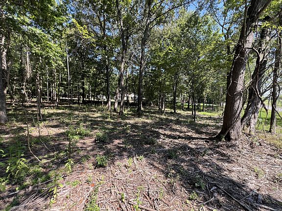 5th image of 0 Forrest Hts Lot 75