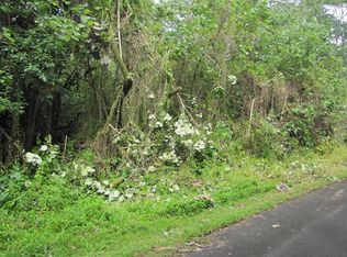 N Niuhi St, Pahoa, HI 96778