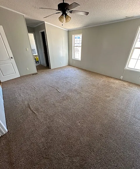 20 Cherry Berry Ln — Photo 12