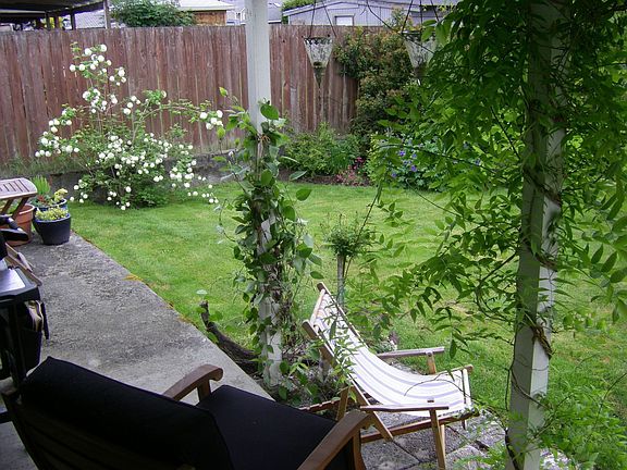 Back Porch