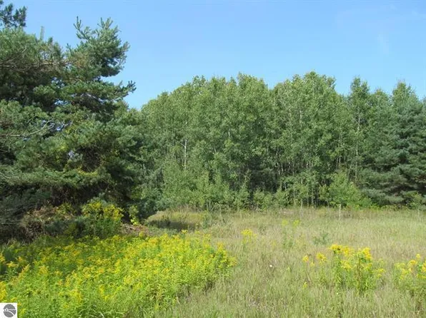 0 E M 55 Rd, Cadillac, MI 49601