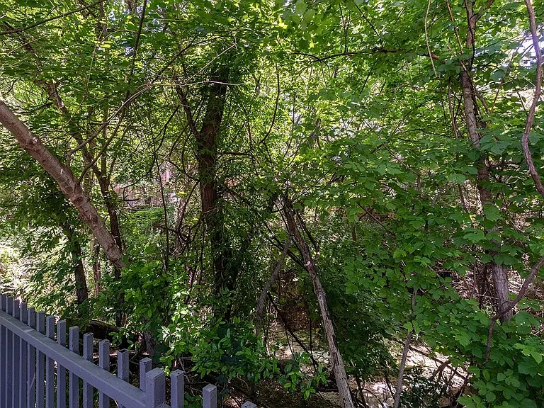 Enjoy tranquil on-site views