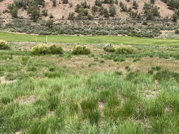 160 Lara Pl, Gypsum, CO 81637