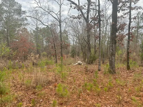 1100 POPLAR Drive, Lincolnton, GA 30817