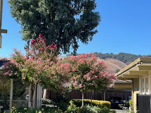 The Foothills Apartments