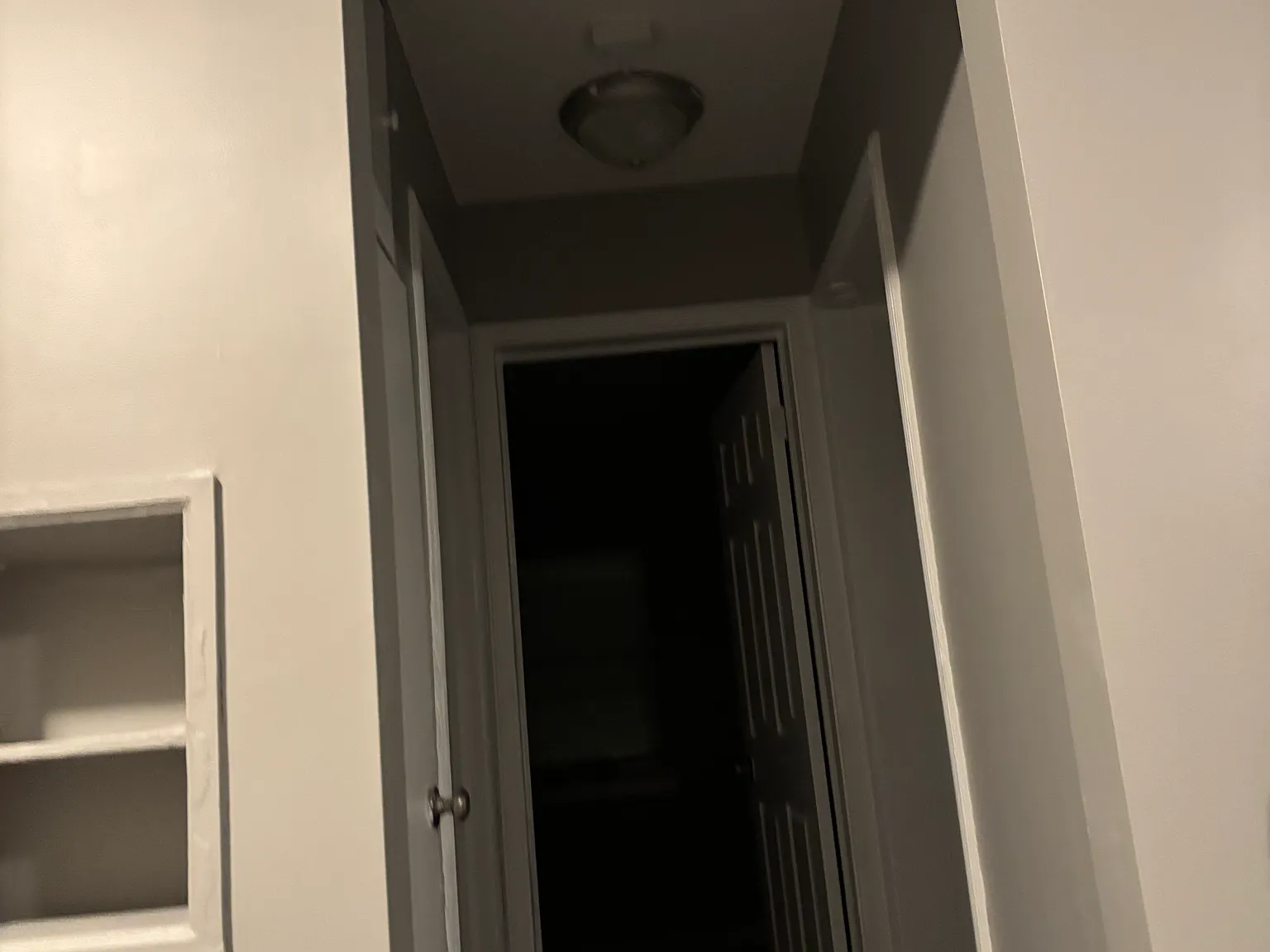 2 bed, 800 sqft, $1,350 — Photo 4