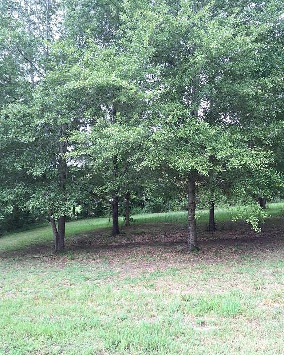 2nd image of 14711 Leavell Rd