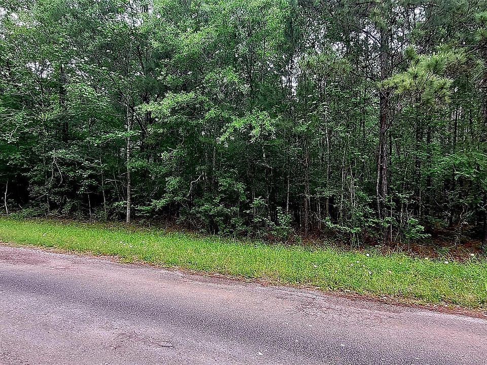 2nd image of County Road 349