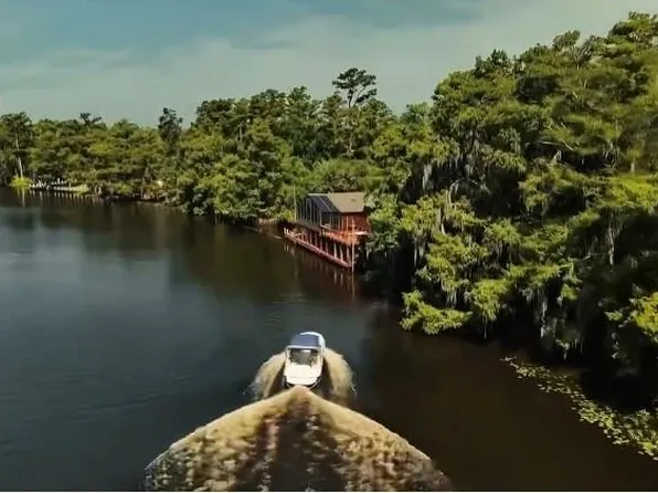 16704 Meisner Rd, Springfield, LA 70462