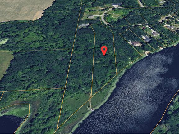 2nd image of Morel Cir #33
