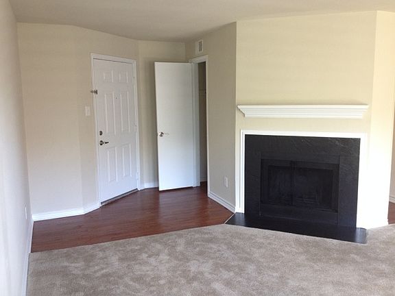 Wood burning Fireplace