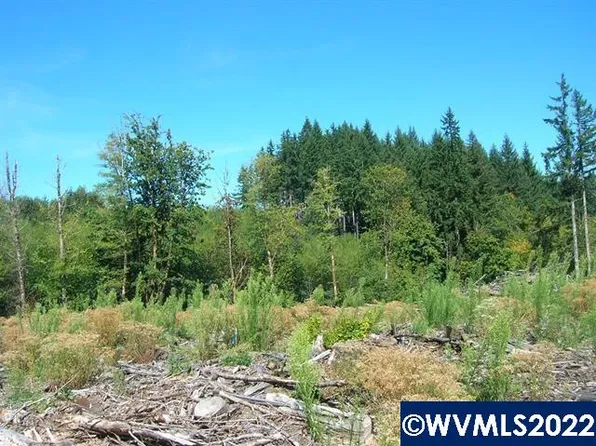 Chapman Grange Rd Lot 25 & 26, Scappoose, OR 97056