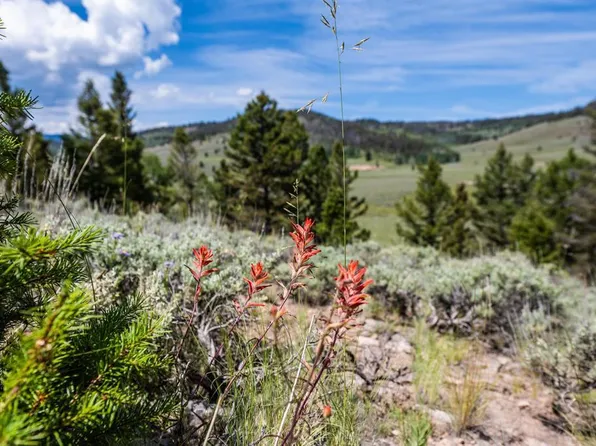 1021 Slumgullion Trail, Powderhorn, CO 81243