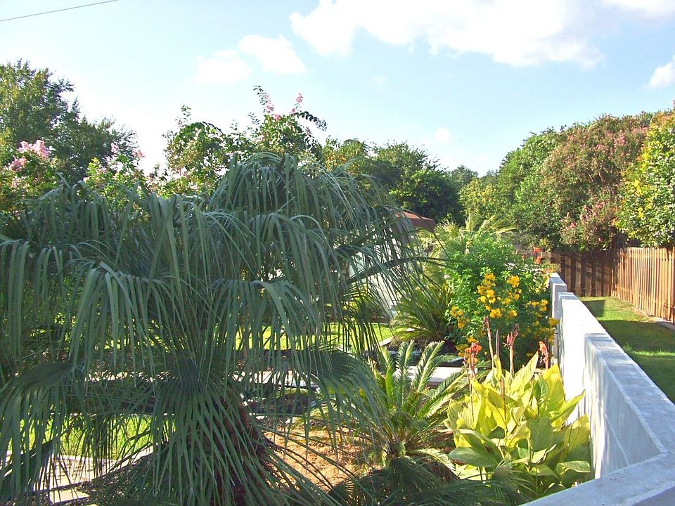 View of back yard tropical garden from SE