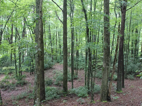 371 Lark Dr, Dunlap, TN 37327