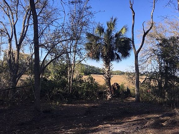 N Tract - marsh view