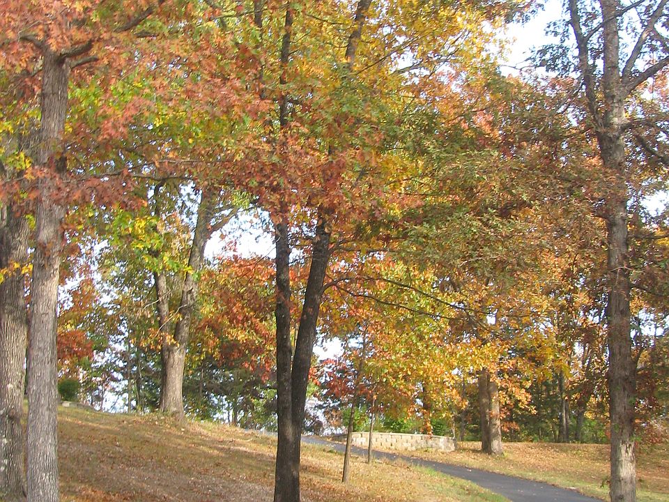 2nd image of 1595 Day Rd