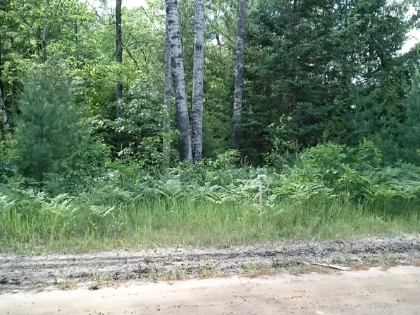 0 Morrison Rd, Alger, MI 48610