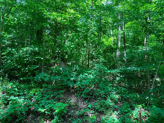 5th image of 0 Deadwood Rd Lot 35