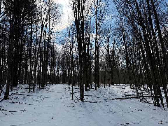 4th image of Westover Rd