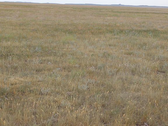 3rd image of Spring Creek Cutoff