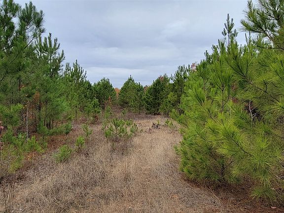 4th image of 0 Jewell Gooch Rd