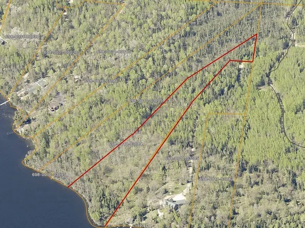 PARCEL Niles Bay Forest Rd #C, Orr, MN 55771
