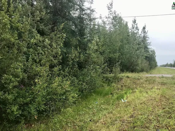 Nhn Richardson Hwy, Salcha, AK 99714