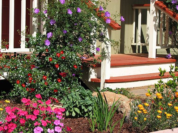 Gorgeous landscaping