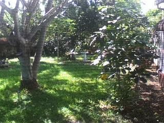 5th image of 6469 Easter Cay Way