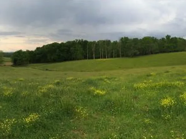 Gap Creek Rd, Bulls Gap, TN 37711