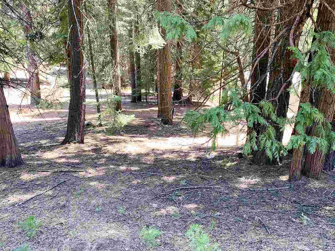 716 Timber Ridge Rd photo 1