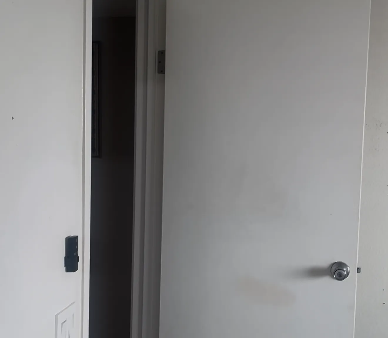 1 bed, 2584 sqft, $1,100 — Photo 2