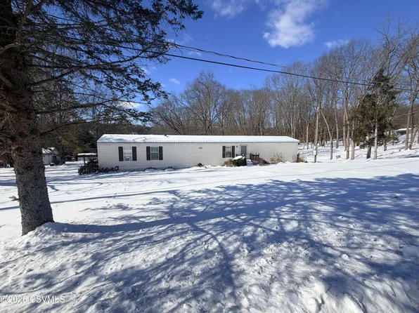 133 Roadarmel Ln, Paxinos, PA 17860