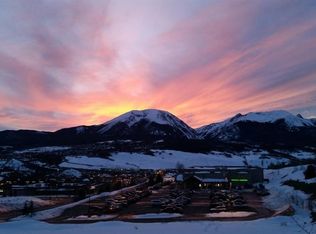 65 Lookout Ridge Dr #1133, Dillon, CO 80435