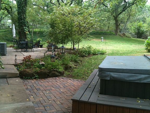 Back yard