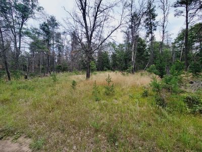 V/l S James Rd, Baldwin, MI, 49304