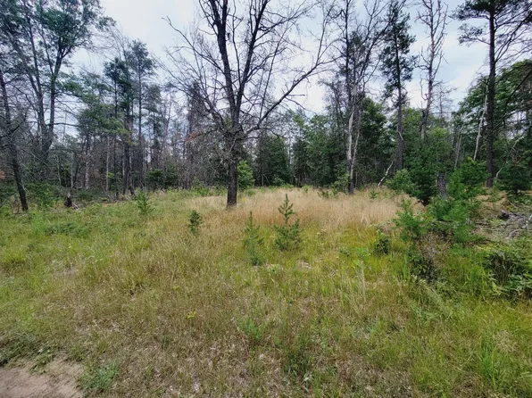 V/l S James Rd, Baldwin, MI 49304