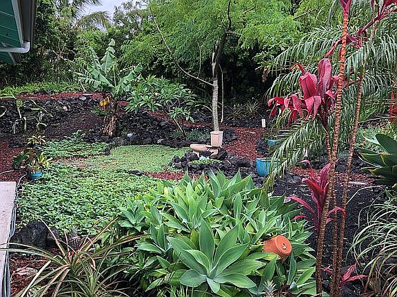 Front yard view drive way