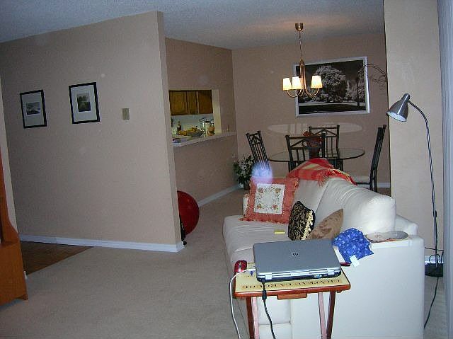 Living room view