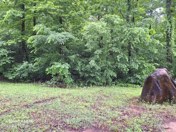 Cloyds Creek Rd, Greenback, TN 37742