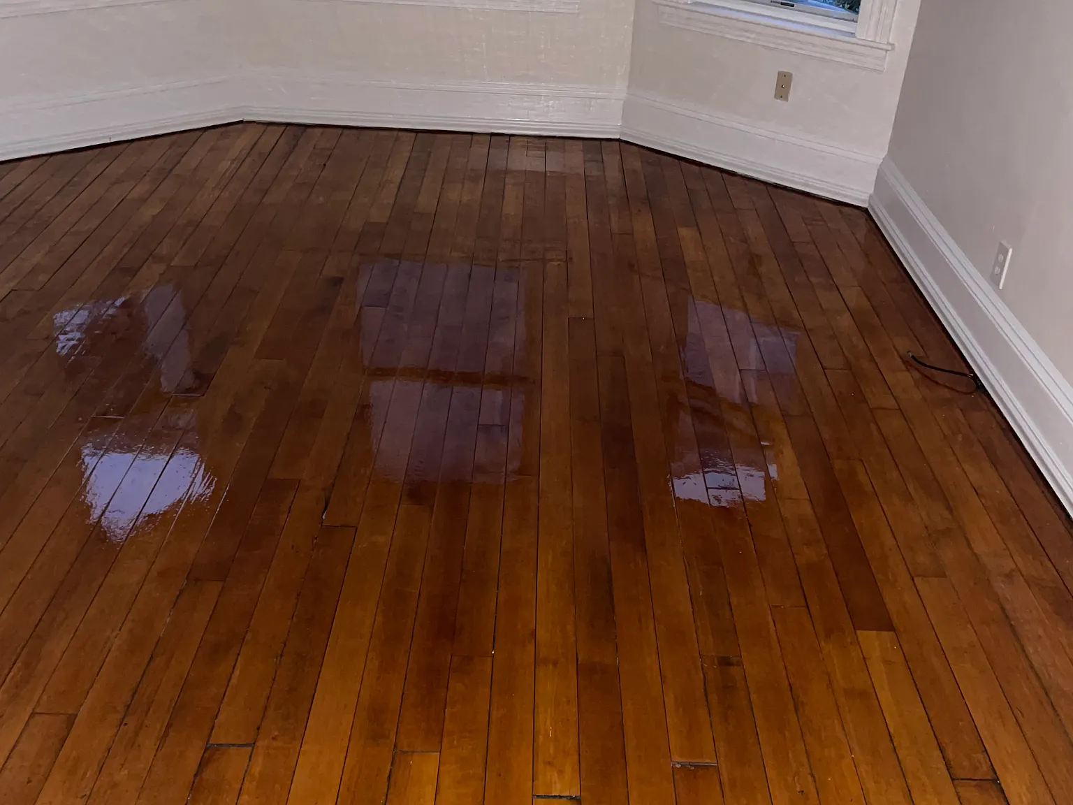 3 bed, $2,850 — Photo 1