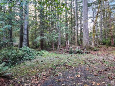 149 E Nantucket Road, Shelton, WA, 98584