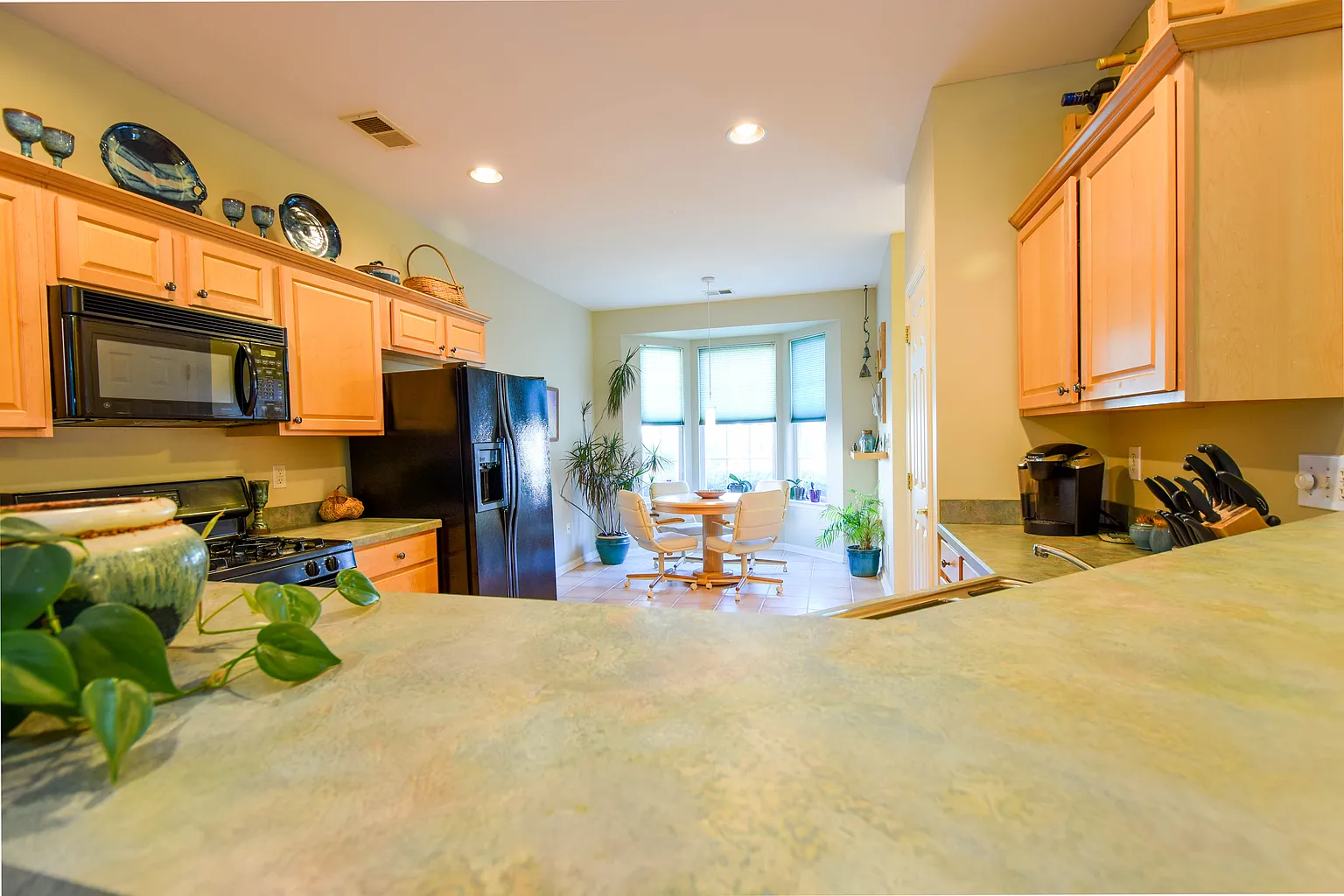 523 Weston Dr photo 1