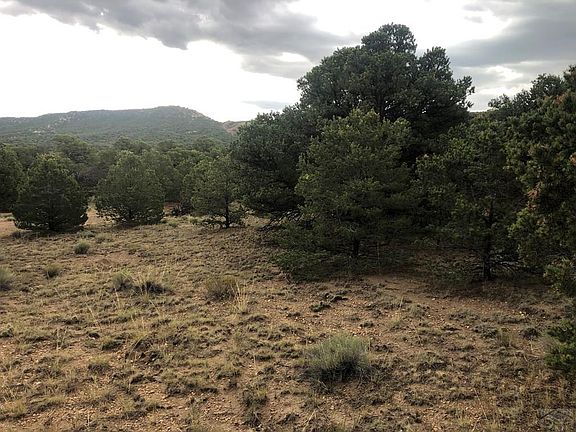 5th image of 90 Colorado Land Grazing