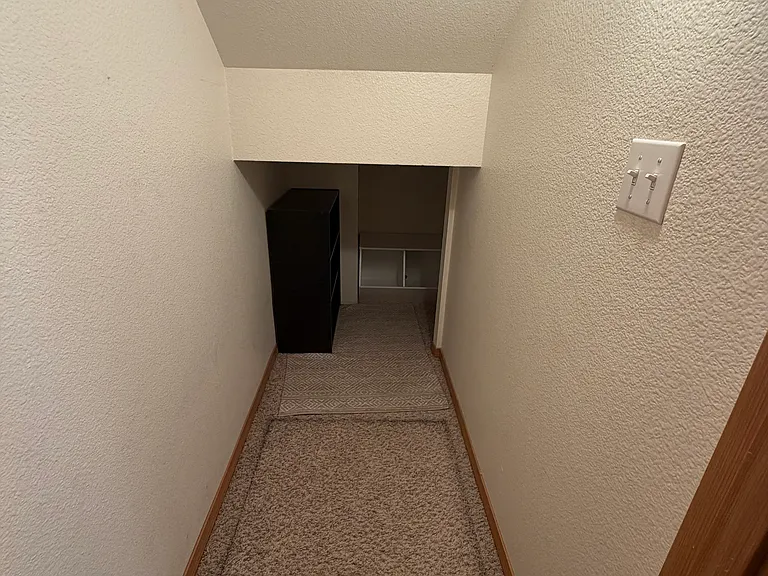 under stairs storage