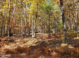 804 Tinkwig Dr, Hawley, PA 18428