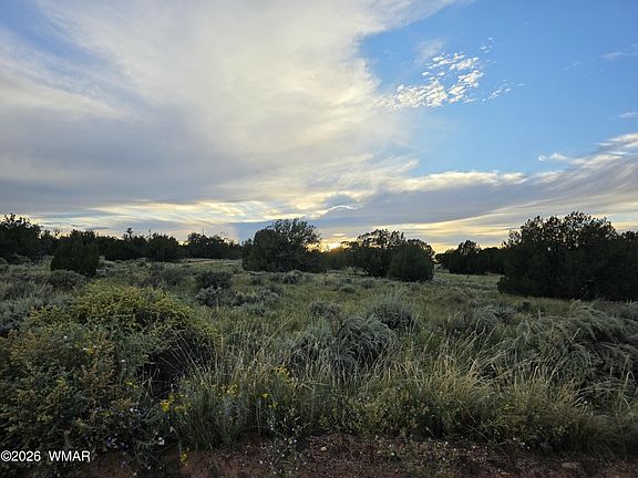 5th image of 3908 Hidden Ranch Rd