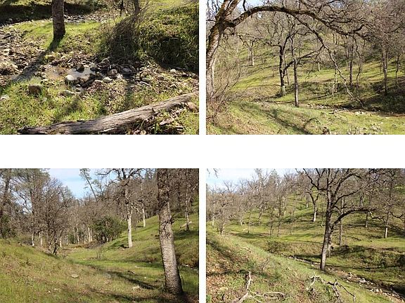 4th image of 11500 Cool Spring Ct