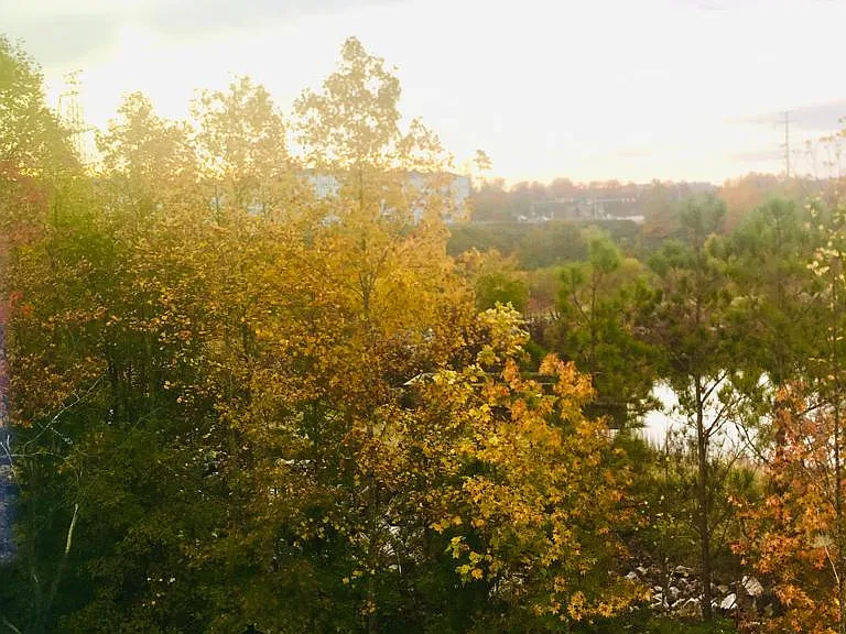 View from master bedroom